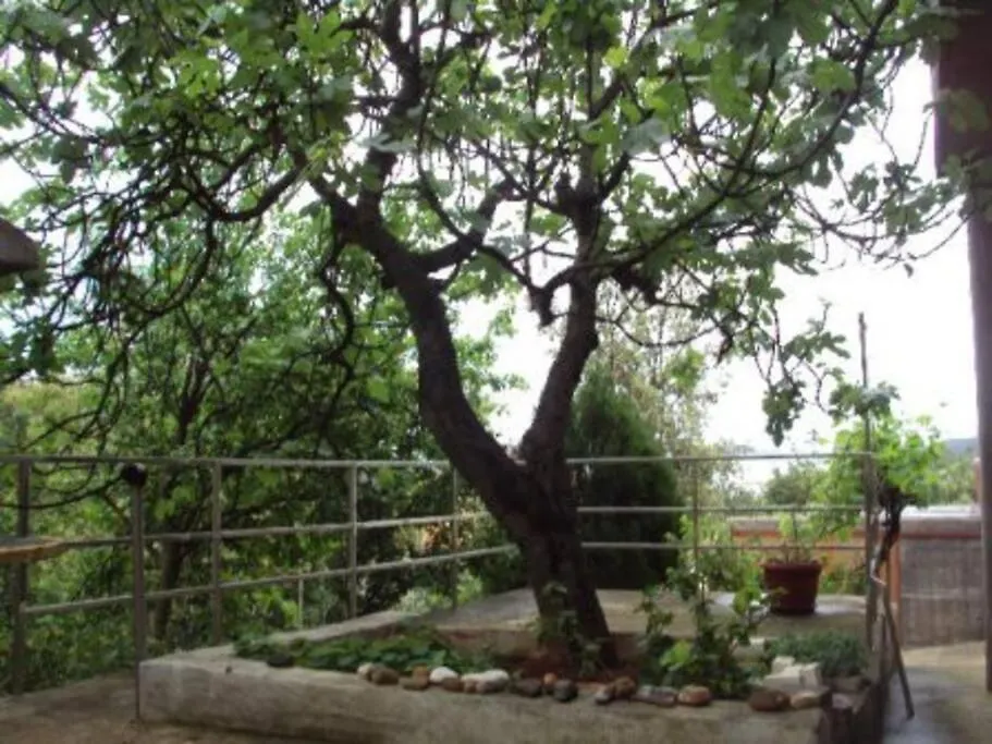 Island Oasis - Apartment With Large Bedroom & Terrace With Amazing Sea View Zaglav