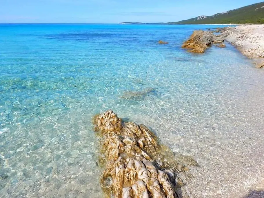 Island Oasis - Apartment With Large Bedroom & Terrace With Amazing Sea View Zaglav 0*,  Croatia